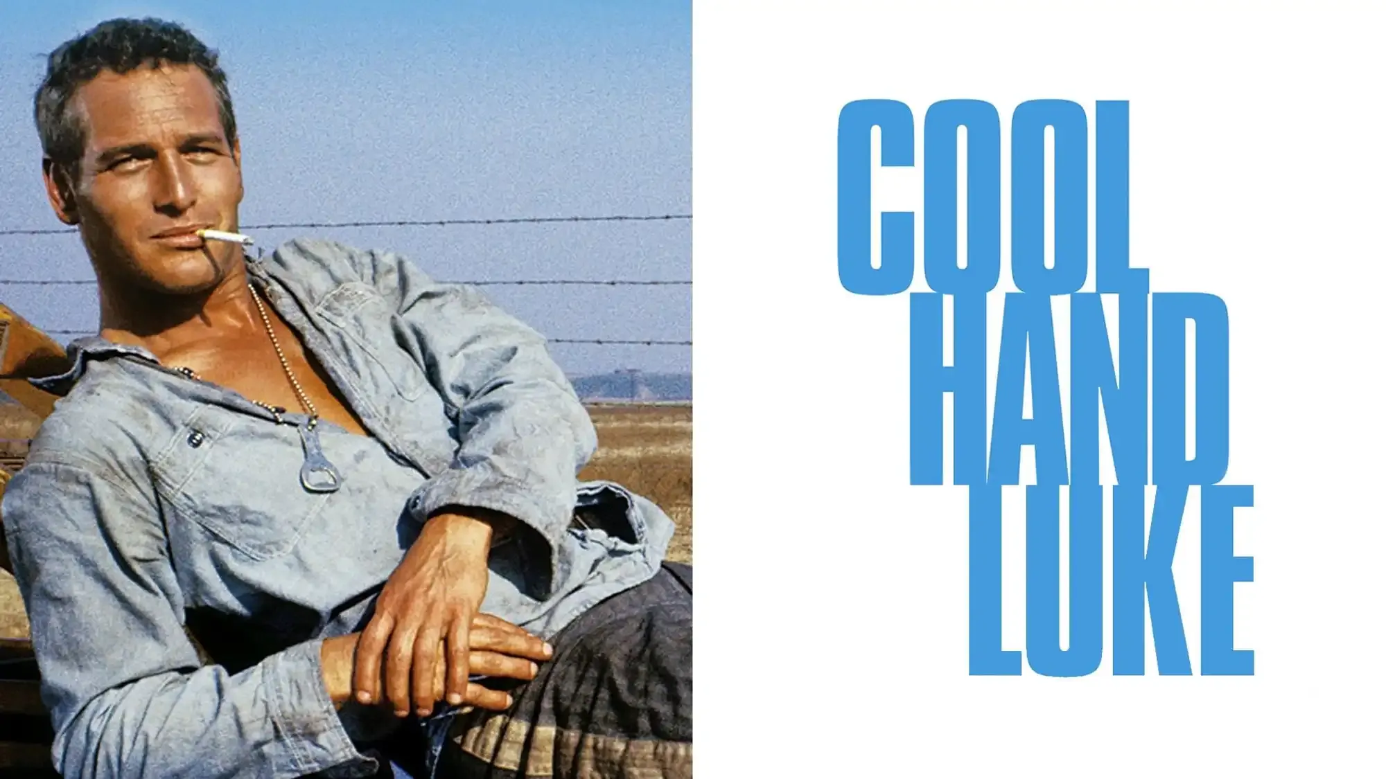 Cool Hand Luke movie review