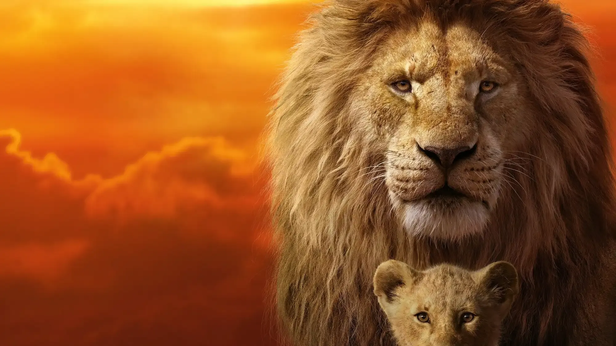 The Lion King movie review