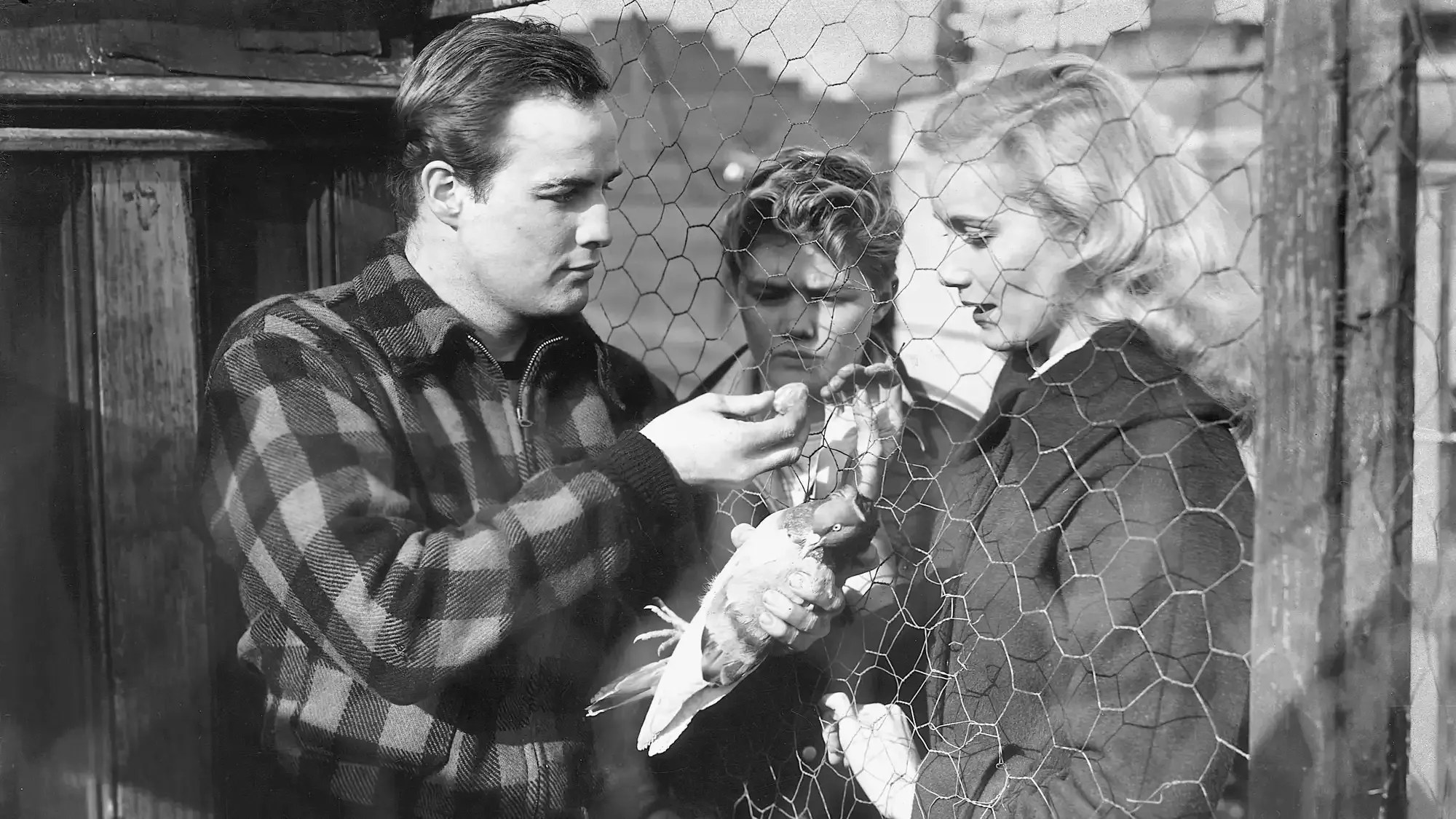 On the Waterfront movie review