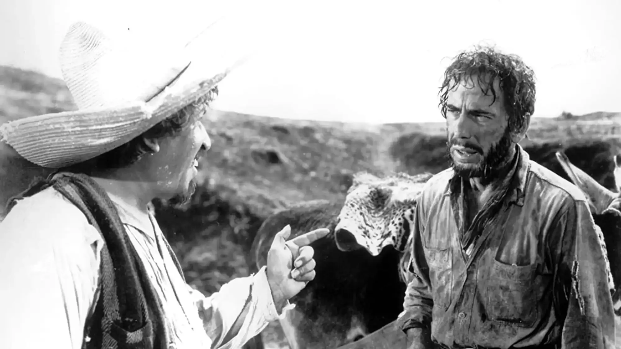 The Treasure of the Sierra Madre movie review