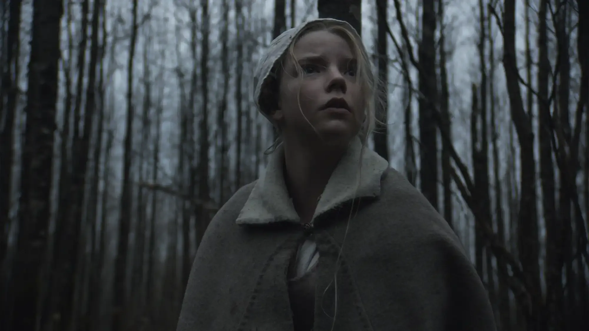 The Witch movie review