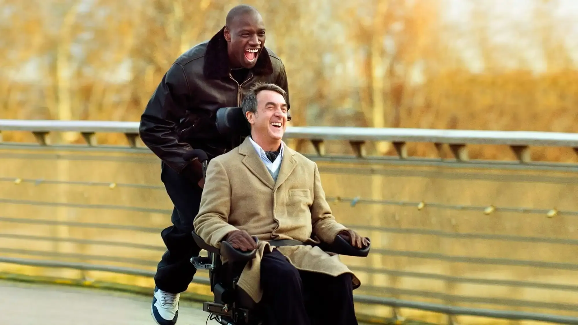 The Intouchables movie review