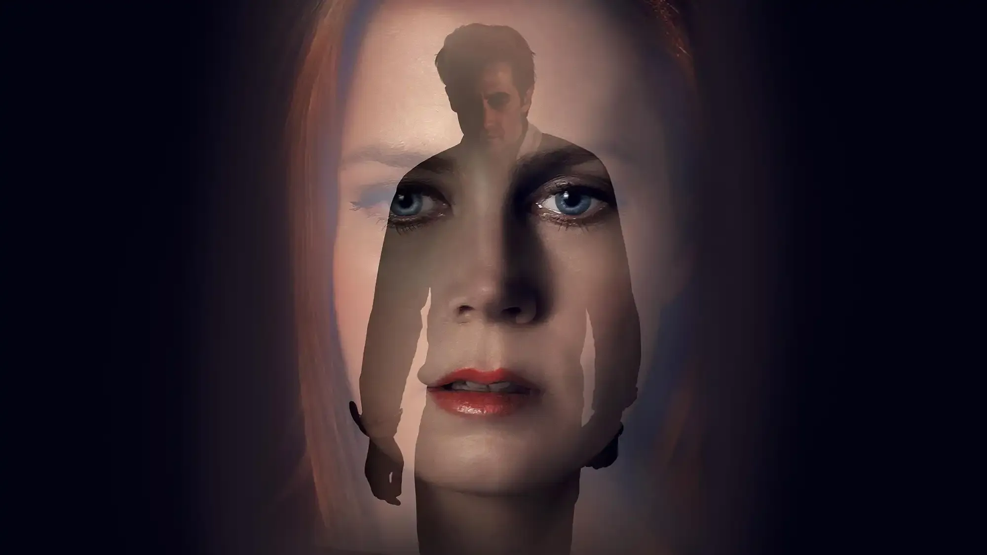 Nocturnal Animals movie review