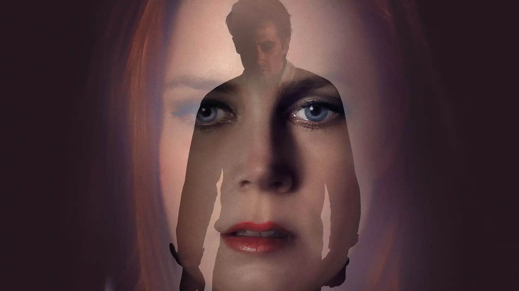 Nocturnal Animals movie review