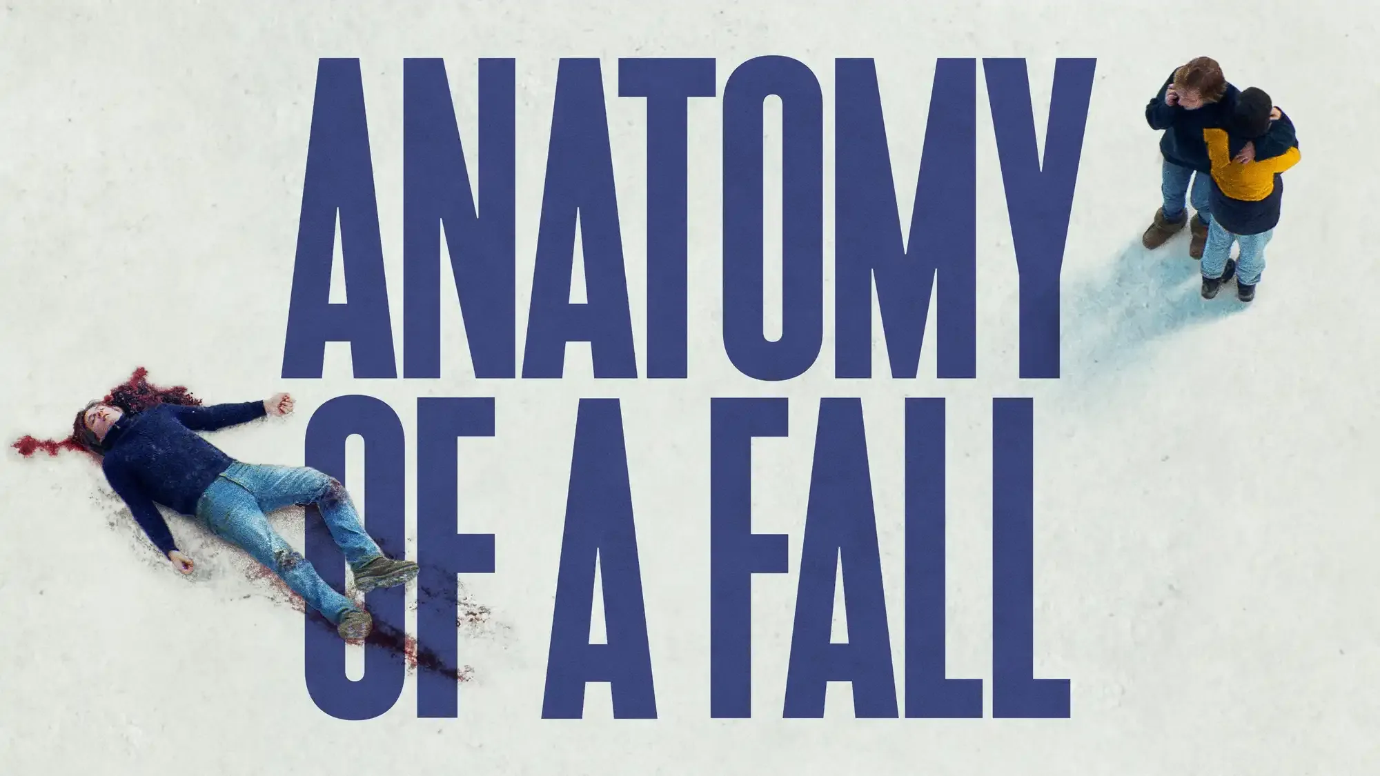 Anatomy of a Fall movie review